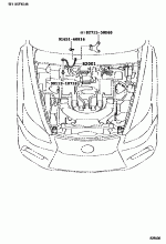 WIRING & CLAMP 5